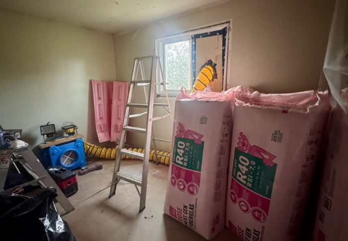 Renovating SunnyGrrrl HQ!