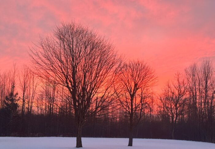 The First Time I Went Nuts